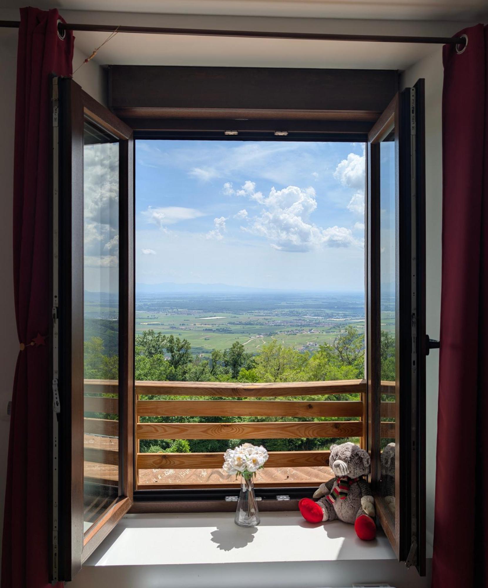 Domaine Du Haut-Koenigsbourg Оршвіллер Екстер'єр фото
