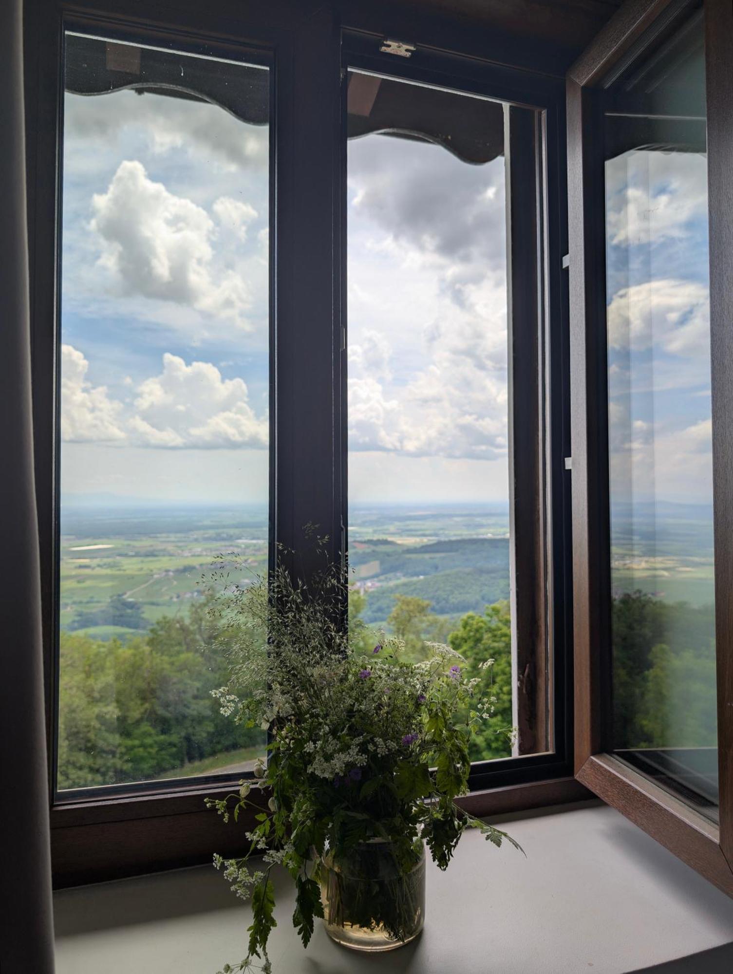 Domaine Du Haut-Koenigsbourg Оршвіллер Екстер'єр фото